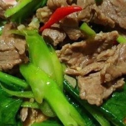 ผัดคะน้าไก่น้ำมันหอย