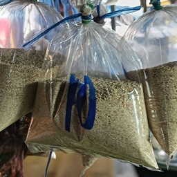 ข้าวคั่ว