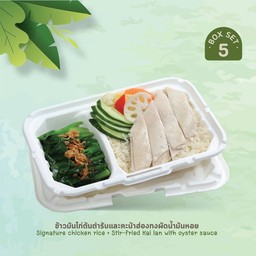 Eco Set 05