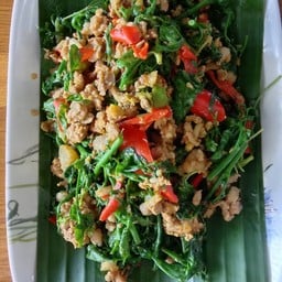 ข้าวกะเพราหมูสับผักหวาน