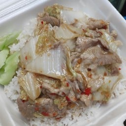 ผัดผักกาดขาวราดข้าว