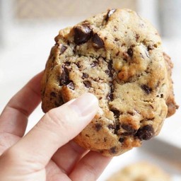 Soft Choc Chip Cookie