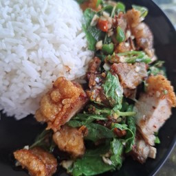 กระเพรา ราดข้าว