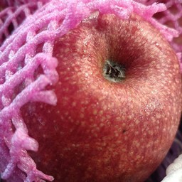 แอปเปิ้ล