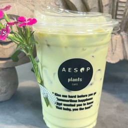 มัทฉะลาเต้ (นมมัทฉะ) Aesop Signature Matcha Latte สูตร it so me boyy