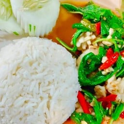 ข้าวราดกะเพราหมึก