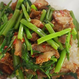 ข้าวผักบุ้งหมูกรอบ