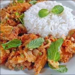 โกลด์บาร์(ไก่กรอบ)(ไก่แซ่บ)(กระเพราไร้น้ำมัน) บ้านเอื้อบ้านเป็ด