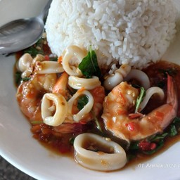 กระเพราทะเล