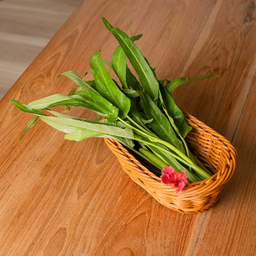ผักบุ้ง Morning Glory 空心菜