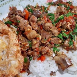 ข้าวกะเพราเครื่องในไก่