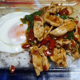 หญิงเขียวกระเพราซึม เพชรเกษม58