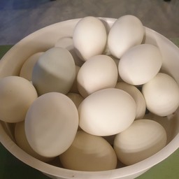 ไข่เค็มต้ม