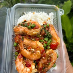 กะเพากุ้งราดข้าว