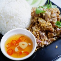ข้าวหมูชิ้นทอดกระเทียม