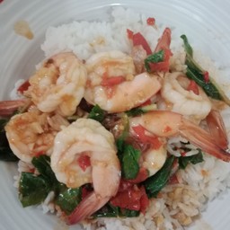 กะเพรากุ้ง ราดข้าว