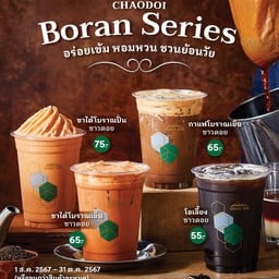 ชาใต้โบราณชาวดอย (ปั่น)