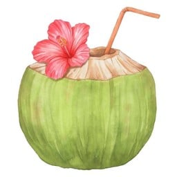 PAPAPALM JUICE & SMOOTHIES ถนนตะนาว