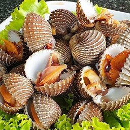 หอยแครงลวก