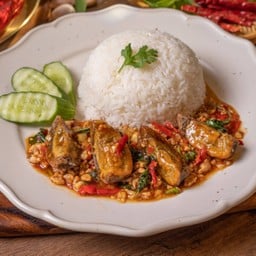 K43.ข้าวกระเพราหมูสับไข่เยี่ยวม้า