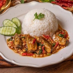 K42.ข้าวกระเพราไก่สับไข่เยี่ยวม้า