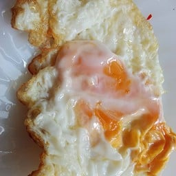 ไข่ดาว