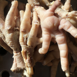 เท้าไก่ 4 เท้า