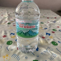 น้ำเปล่า ขนาด 350 ml.