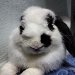 SandZa - แซนวิช&อิตาเลี่ยนโซดา ซอยกลางเมือง28