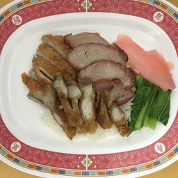 ข้าวหน้าเป็ด+หมูแดง+หมูกรอบ