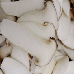 เห็ดออรินจิ