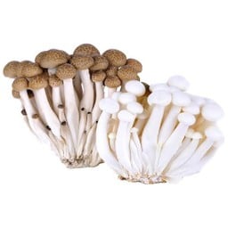 เห็ดหลิน