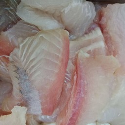 ปลาดอลลี่