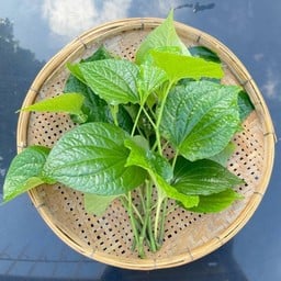 เมี่ยงคำสูตรโบราณ พิษณุโลก ตลาดนางเลิ้ง