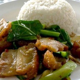 ข้าวคะน้าหมูกรอบ