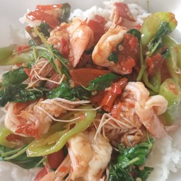 กระเพรากุ้ง