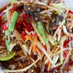 ครัวนู๋ขวัญ ส้มตำ&ยำแซ่บ สาขาชมดาว(เฉลิมพระเกียรติ.9ซอย54