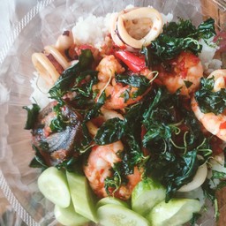 กระเพราทะเลไข่เยี่ยวม้า