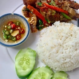 ข้าวราดผัดกระเพราหมูกรอบ