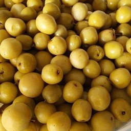 พุทราดอง.(ฟรีพริกเกลือธรรมดา