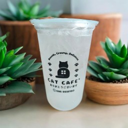 มะนาวโซดา