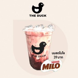 นมสดไมโล เดลิ