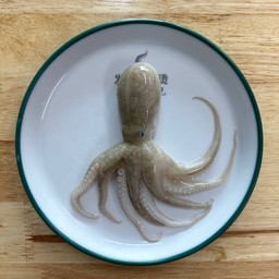 หมึกสาย (ทั้งตัว)