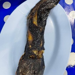 ปลาดุกย่าง