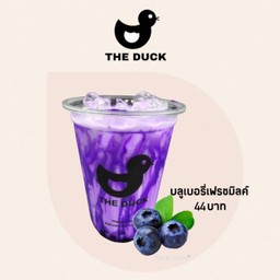 บลูเบอรี่ เฟรชมิลค์ เดลิ