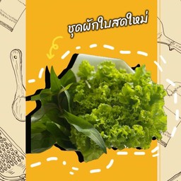 ชุดผักใบ