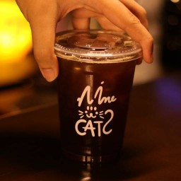 Nine Cats จรัญสนิทวงศ์ 86/1