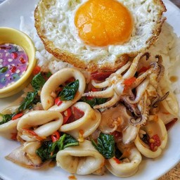 ปลาหมึก ผัดกระเพรา ราดข้าว