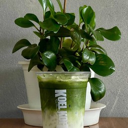 มัทฉะลาเต้ (ใส่นม)