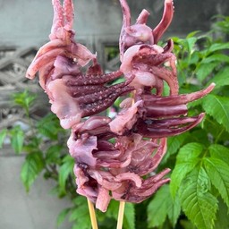 หนวดหมึก